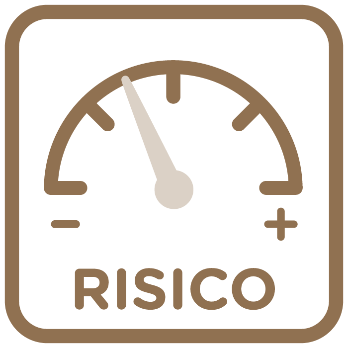 Risico icon